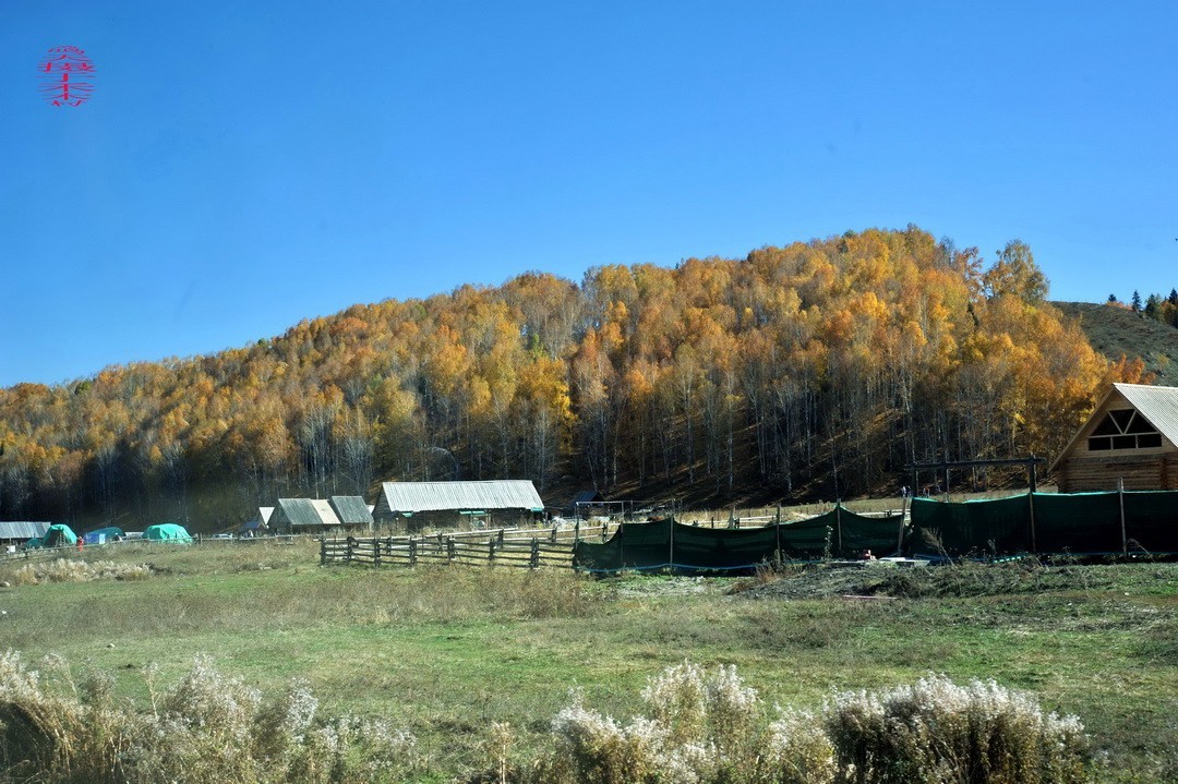 中国第八个摄影创作基地；禾木图瓦村       周鸣天