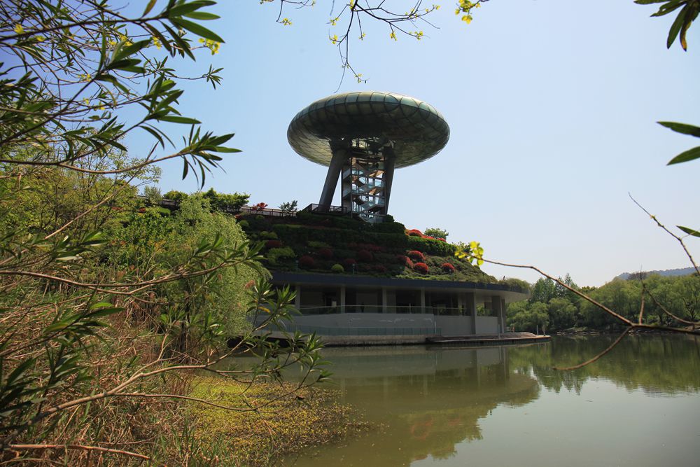 西溪湿地公园(三)