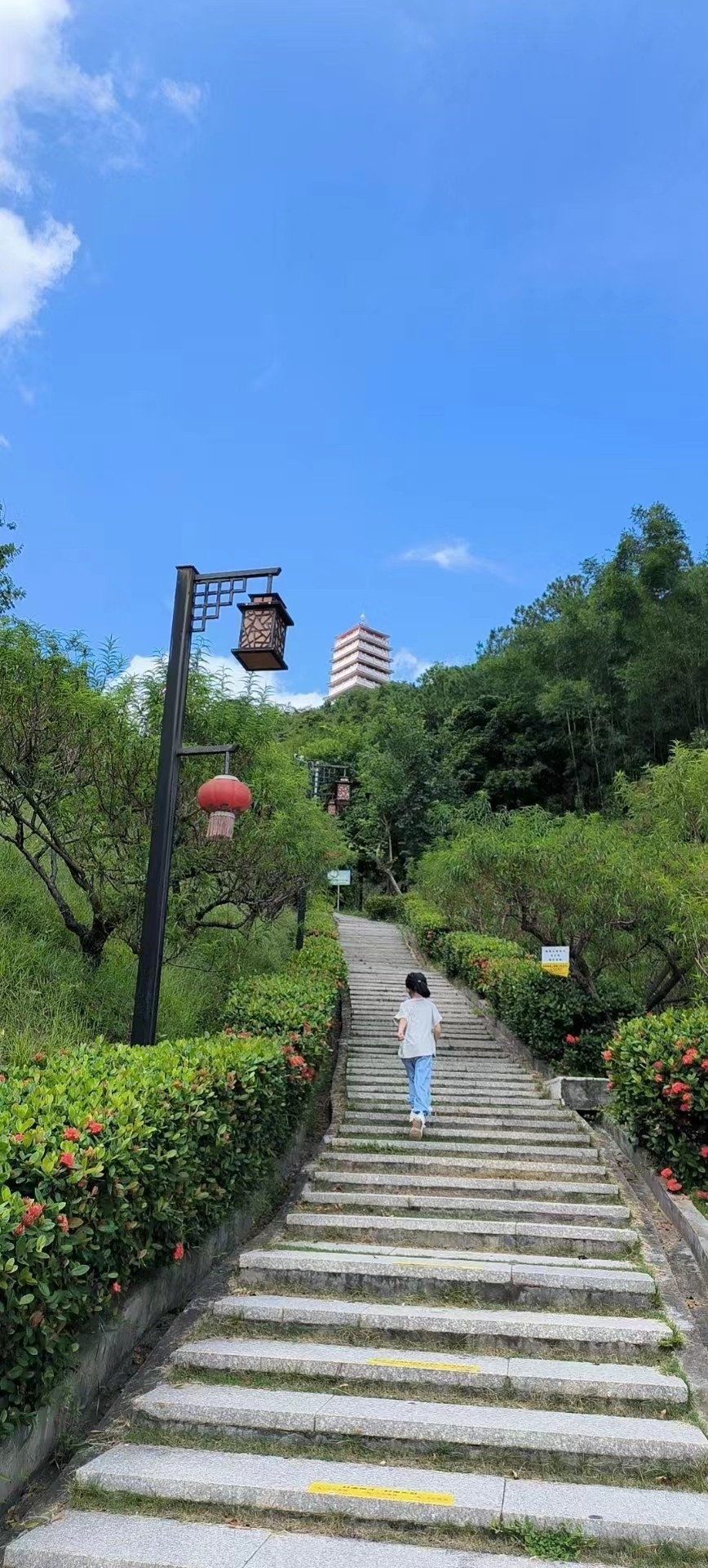 #留住美丽秋天#游增城何仙姑庙