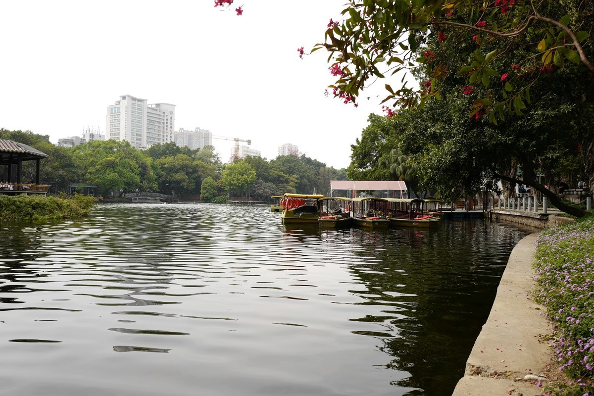 荔湾湖公园随拍（3.15）（6）
