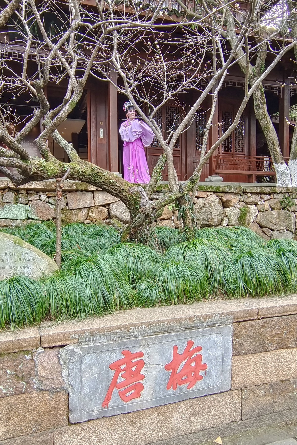 超山赏梅【塘栖一日游】