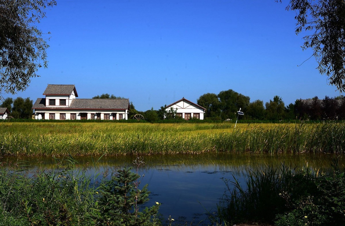 勃海镇——玄武湖游记（1）