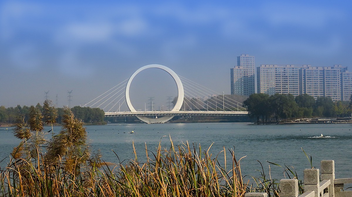 蝶湖戒指桥随拍