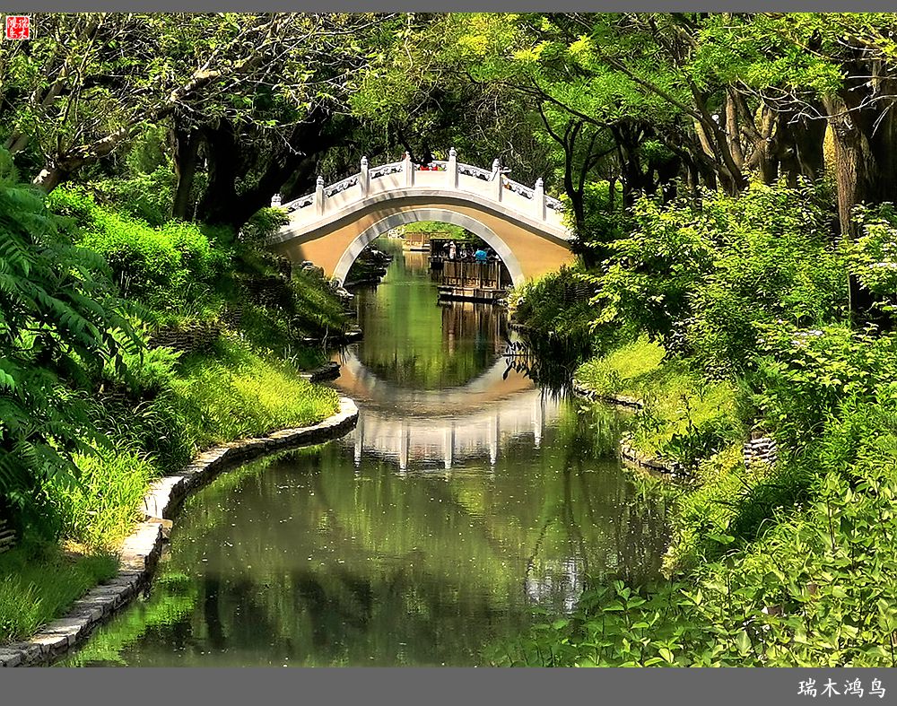 【北坞油菜花季】4.那花那草共舞春天