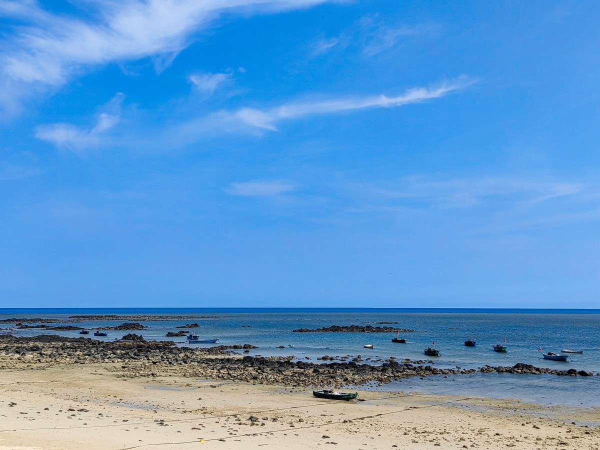 外出随拍（续135）.