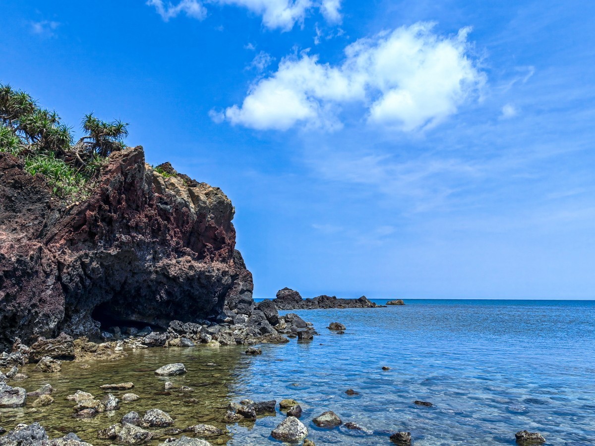 外出随拍（续135）.