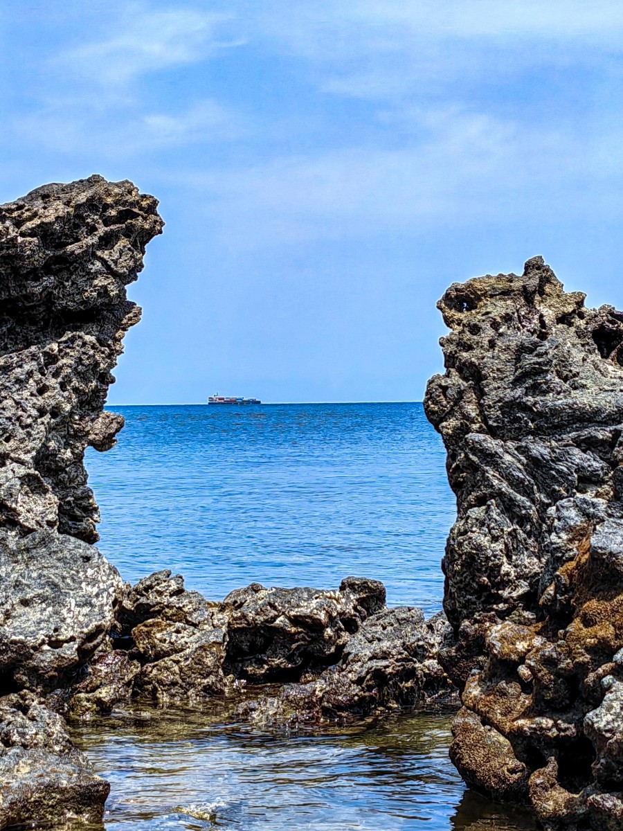 外出随拍（续135）.