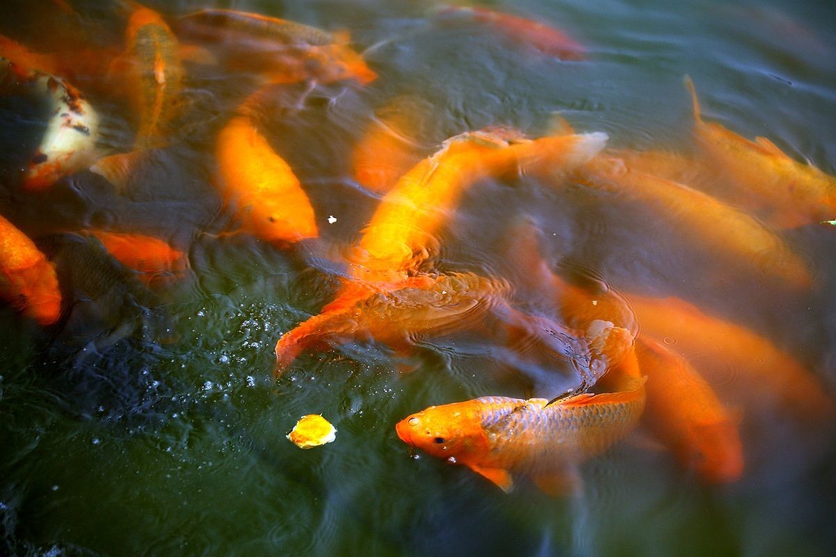 北京奥林-匹克塔俯瞰（二）