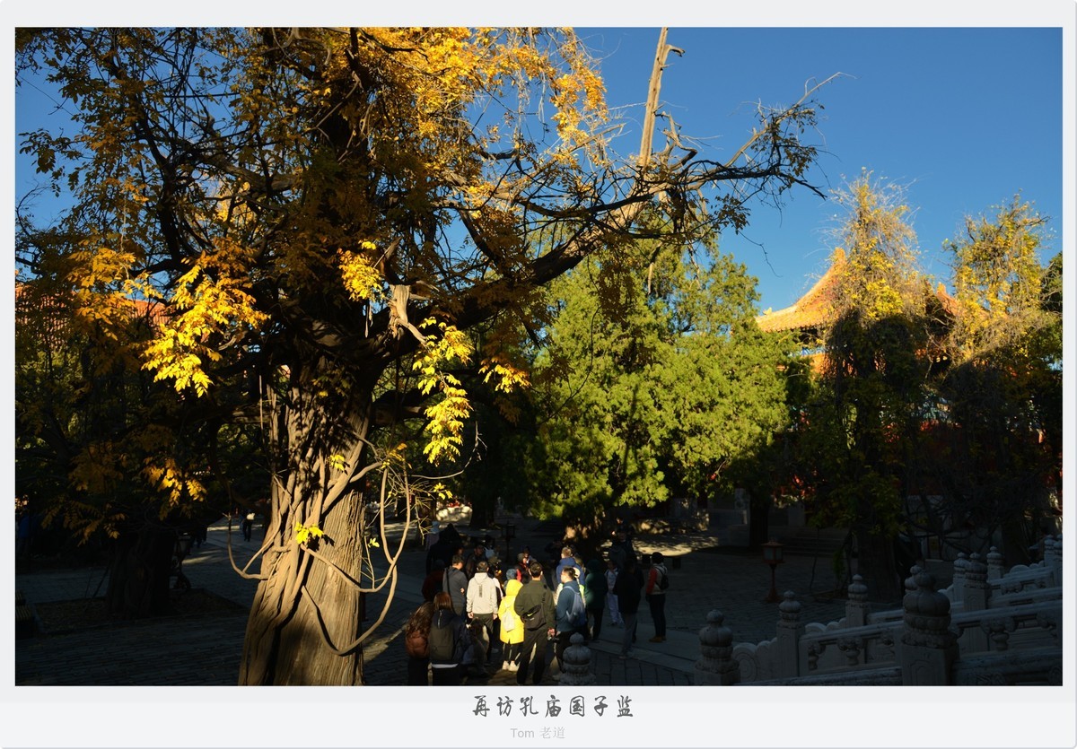 再访孔庙国子监！