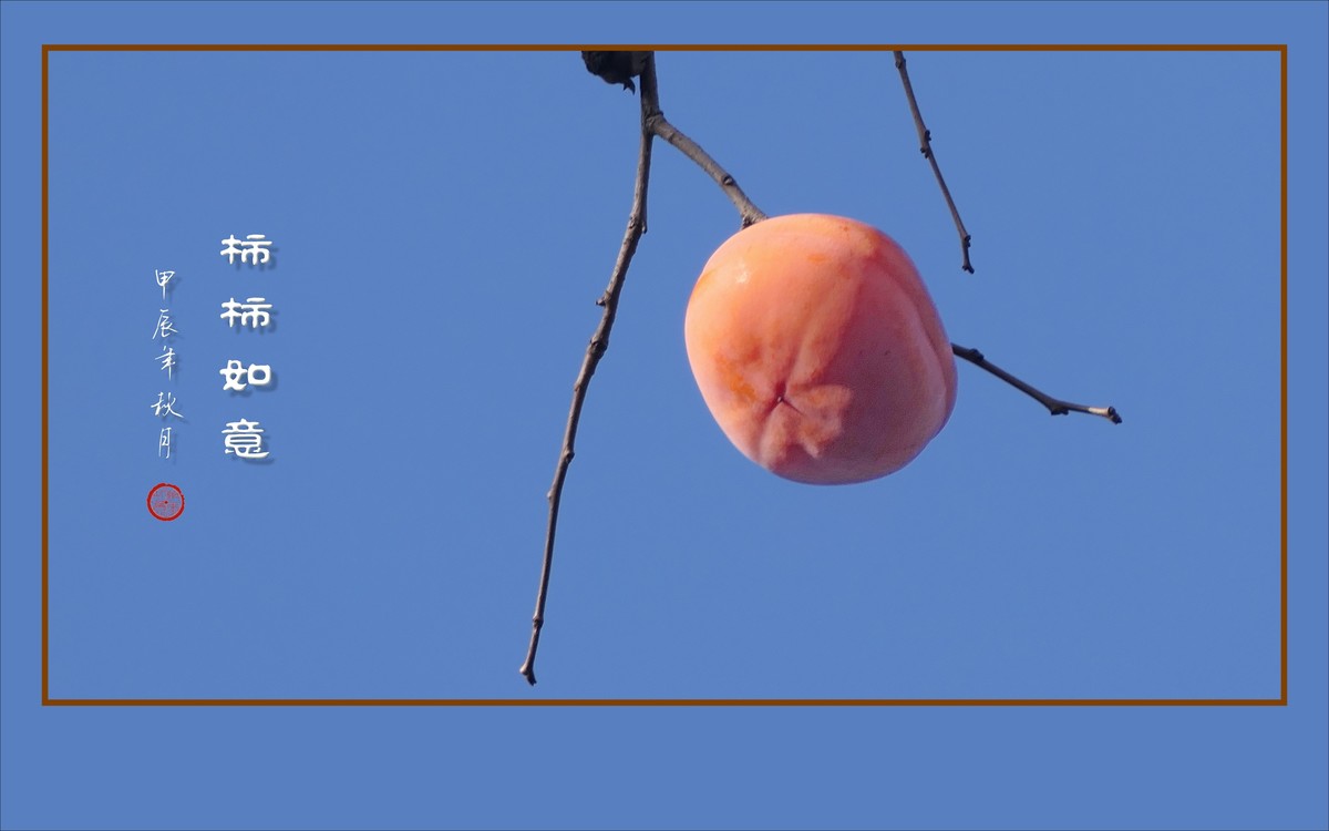 柿柿如意生，生意如柿柿