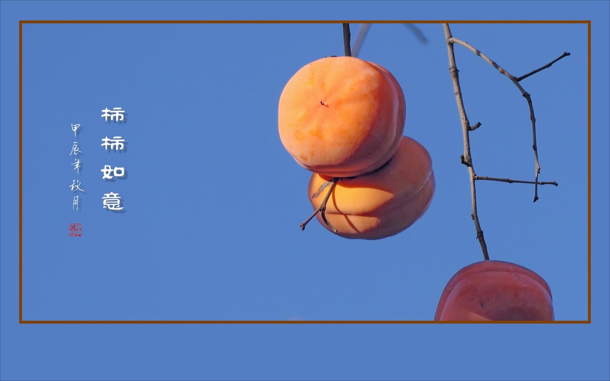 柿柿如意生，生意如柿柿