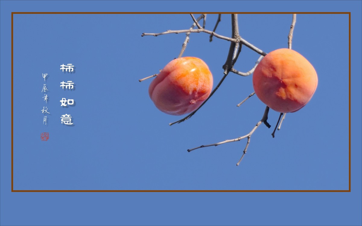 柿柿如意生，生意如柿柿