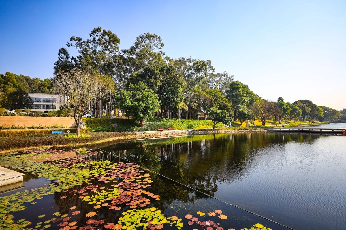 深圳人才研学院-1