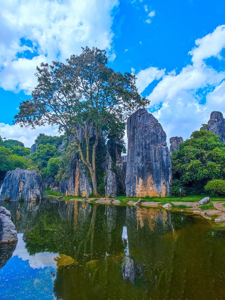 蜀滇黔渝鄂骑游随拍10——石林视角