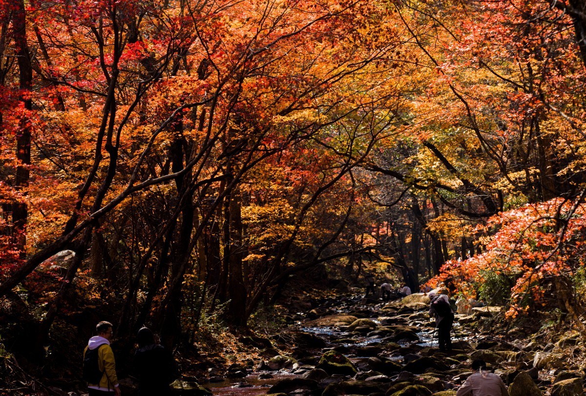 外出随拍（续292）.