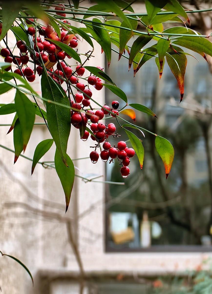 2025，春日游拍之一