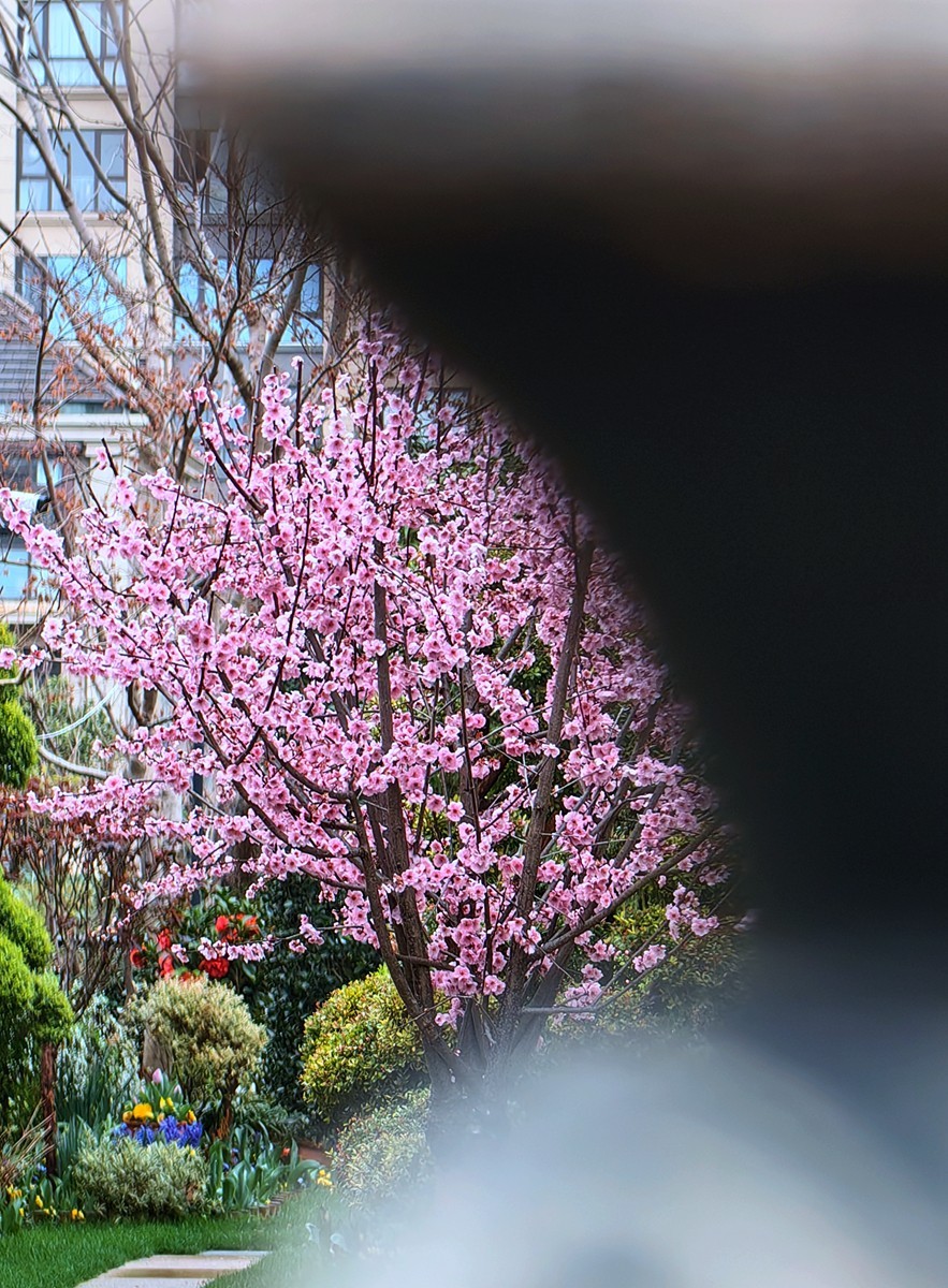 2025，春日游拍之一