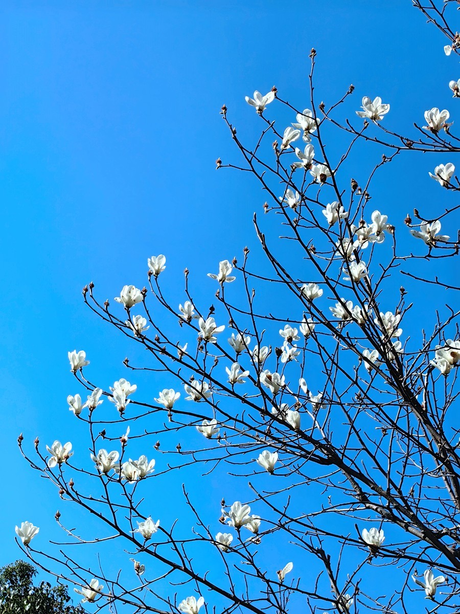 2025，春日游拍之一