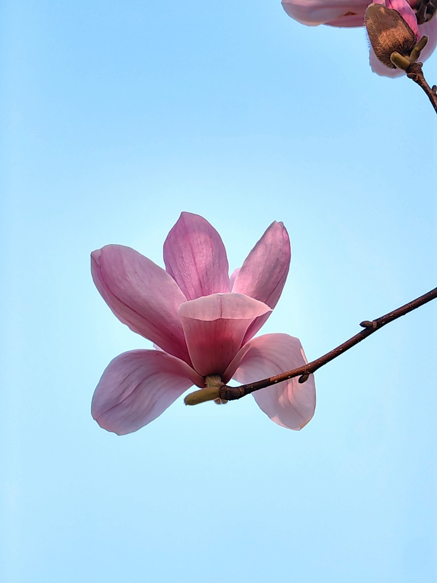 2025，春日游拍之一