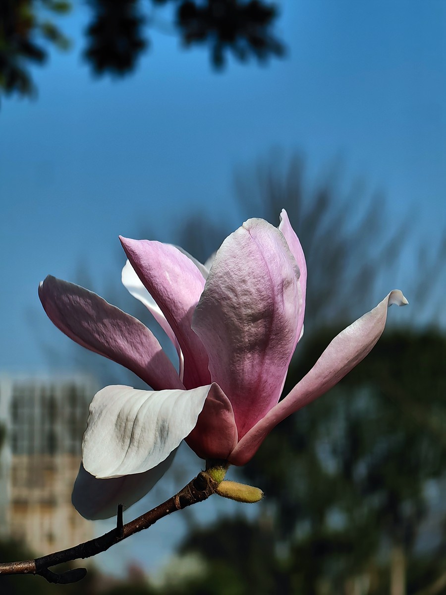 2025，春日游拍之一