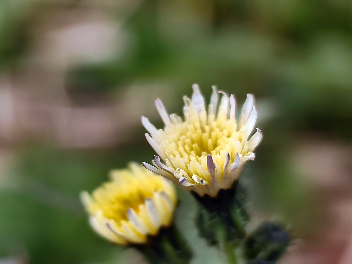 2025，春日游拍之一