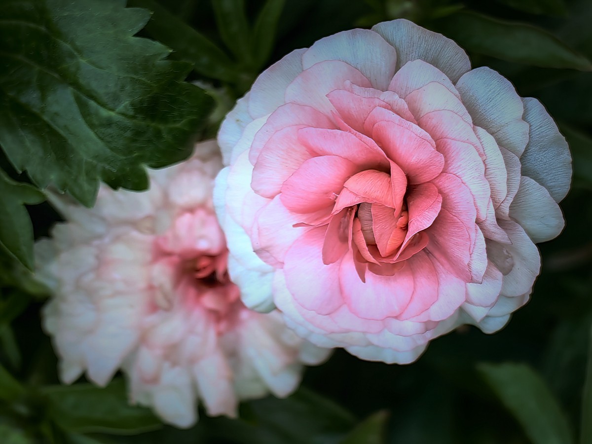 2025，春日游拍之一