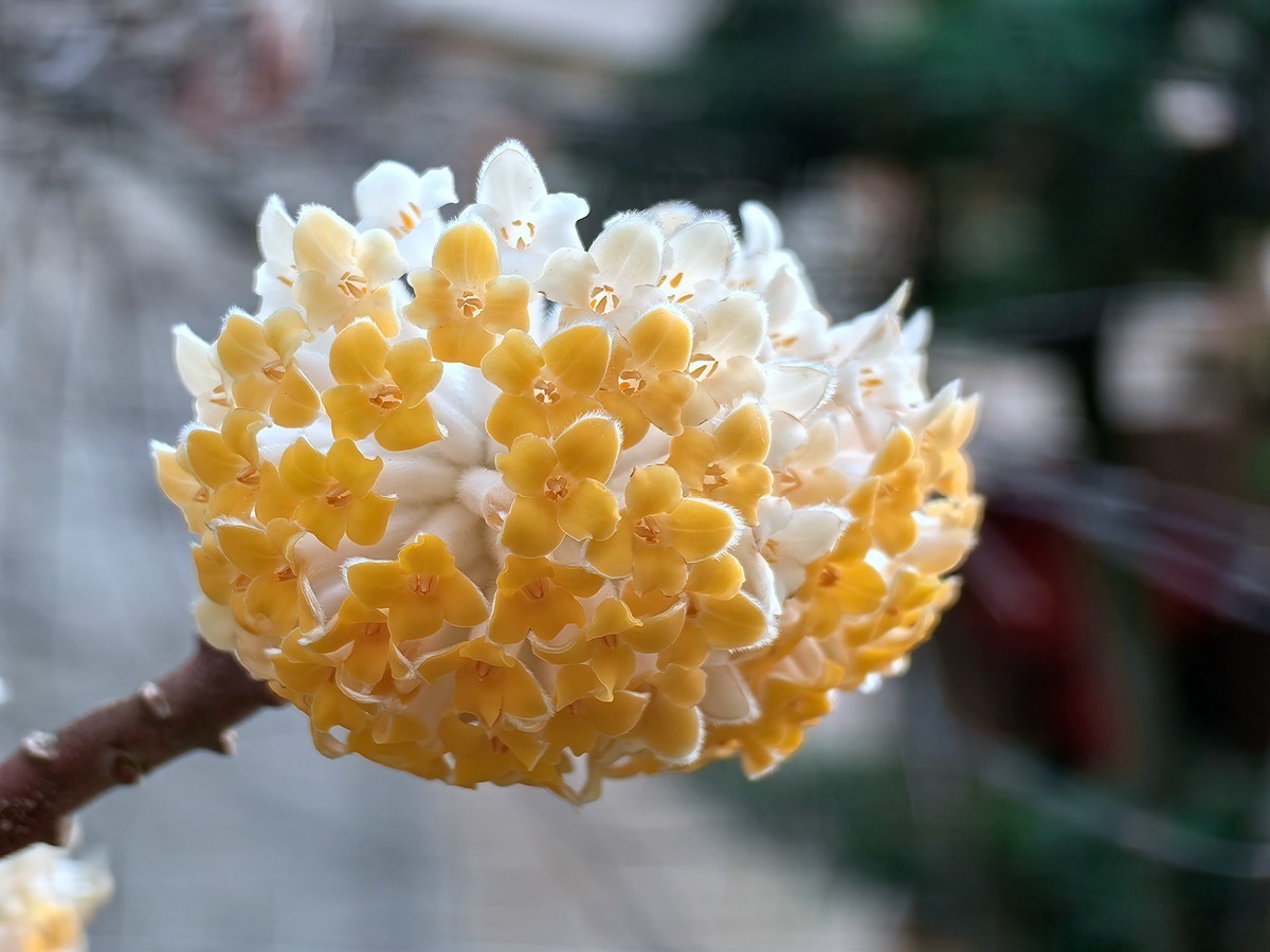 2025，春日游拍之一