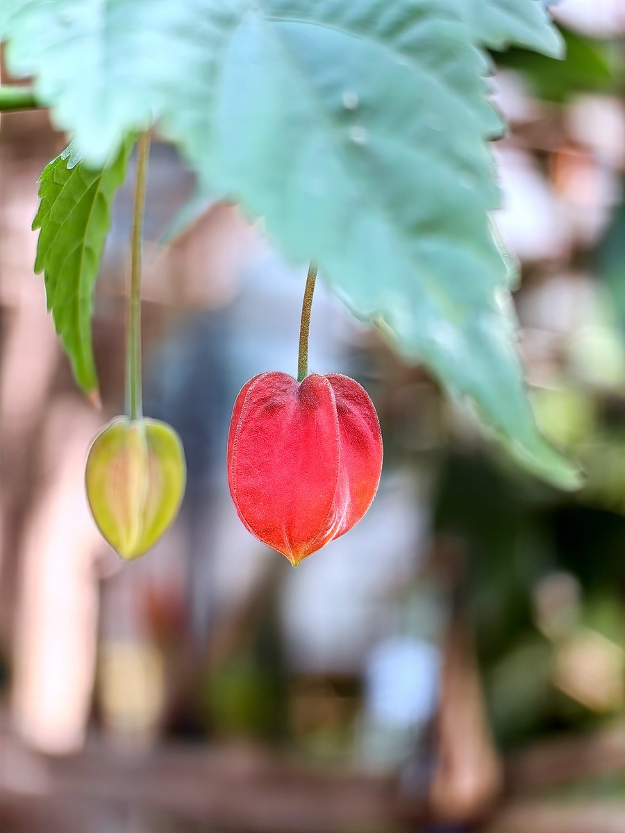 2025，春日游拍之一