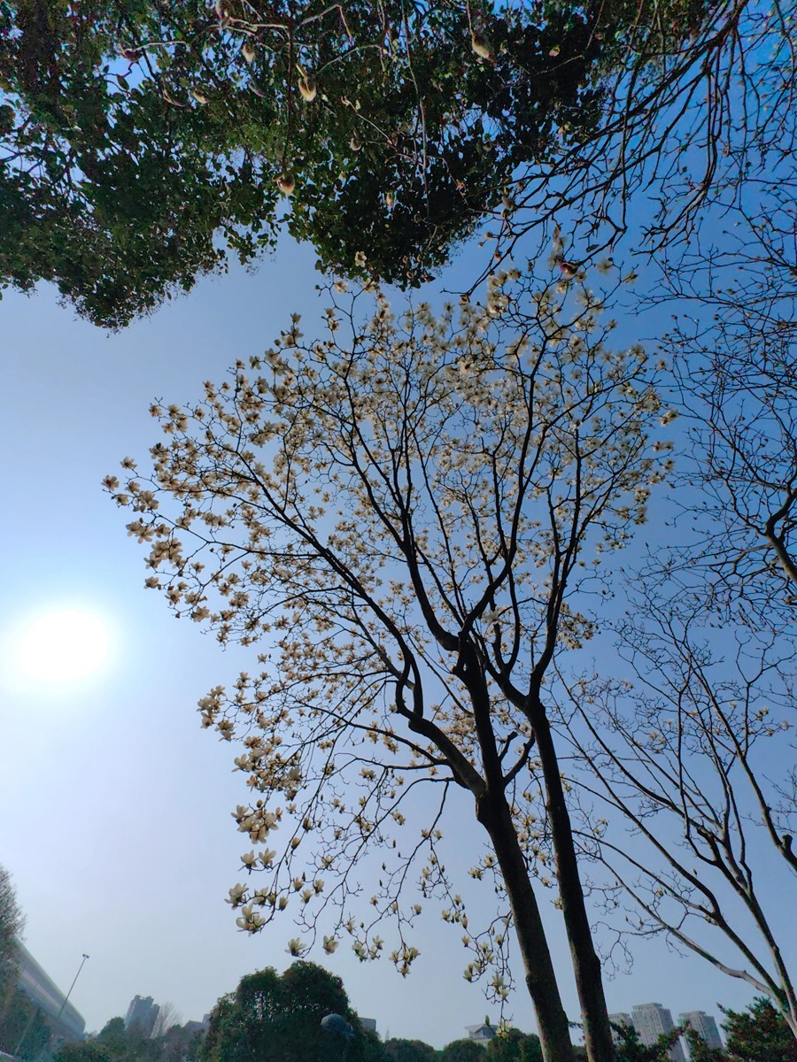 2025，春日游拍之一