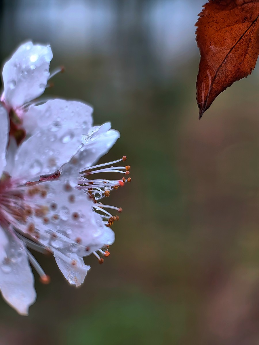 2025，春日游拍之一