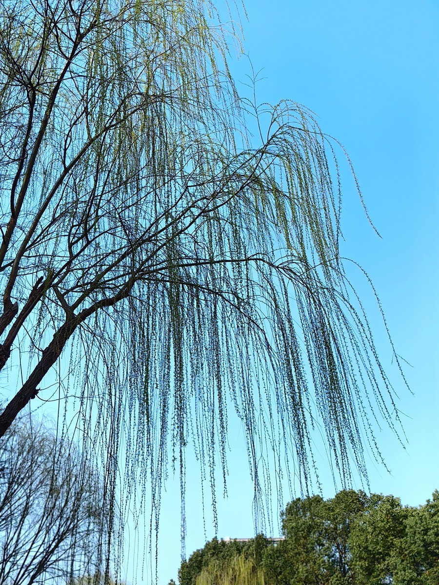 2025，春日游拍之一