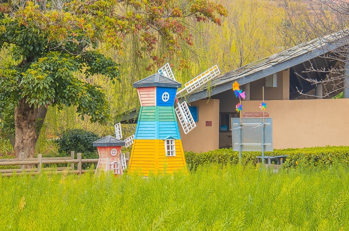 2025-06-02云南玉溪抚仙湖月亮湾湿地公园（四）