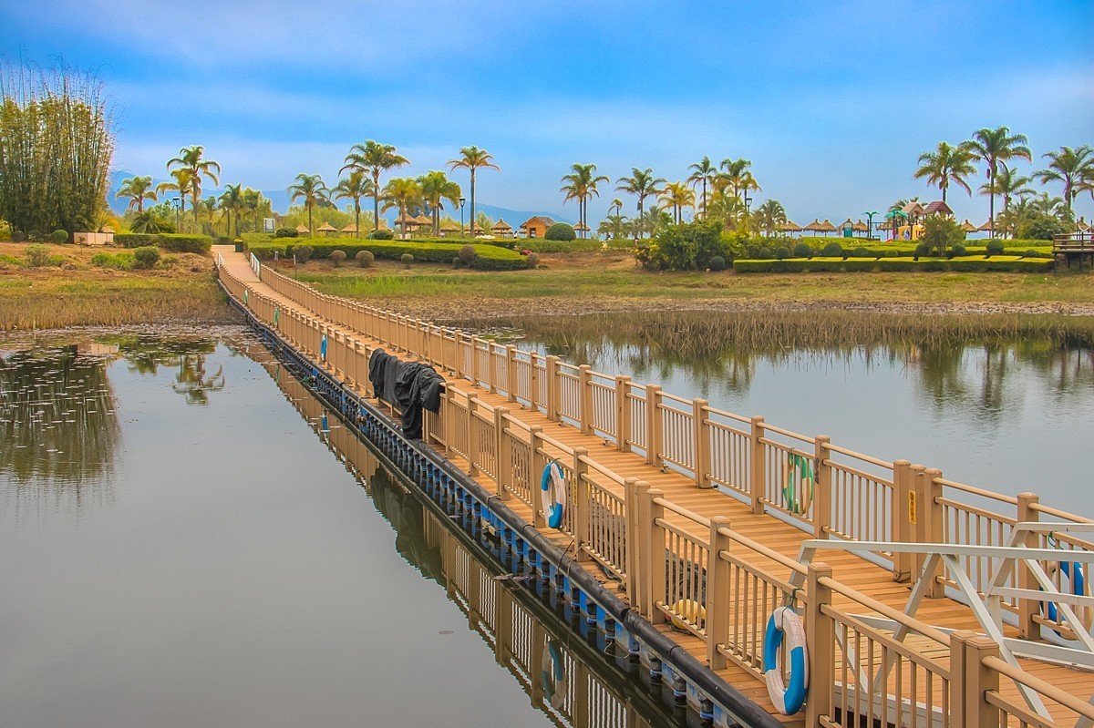 2025-06-02云南玉溪抚仙湖月亮湾湿地公园（四）