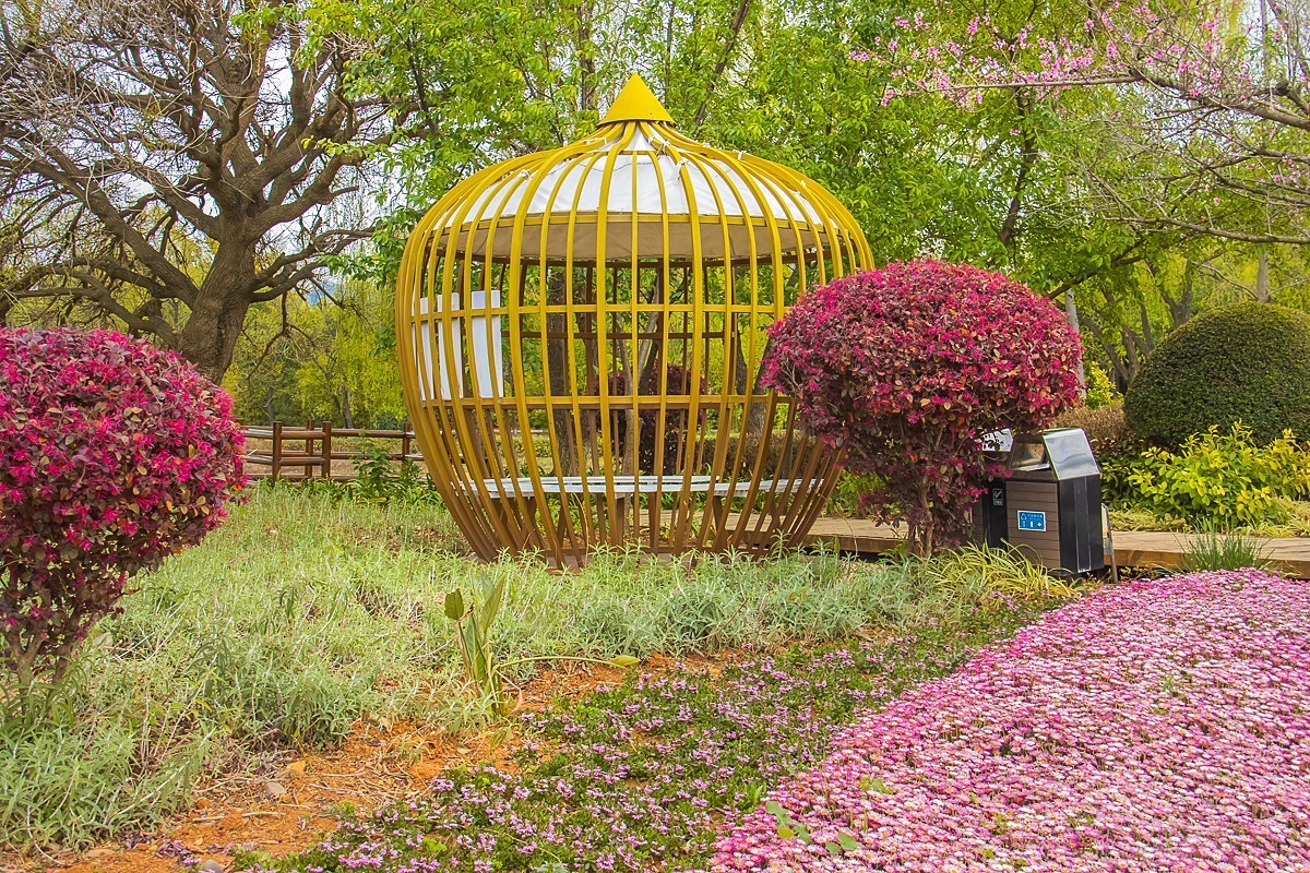 2025-06-02云南玉溪抚仙湖月亮湾湿地公园（四）