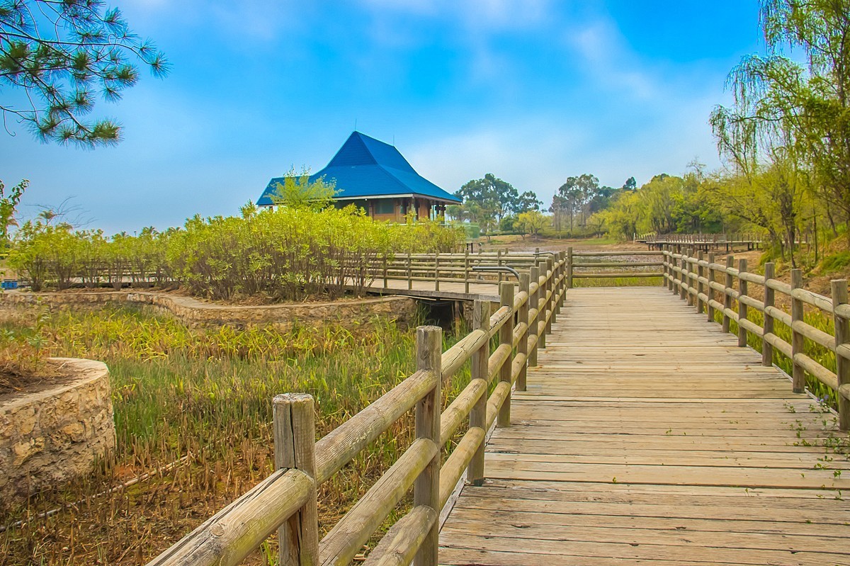 2025-06-02云南玉溪抚仙湖月亮湾湿地公园（四）
