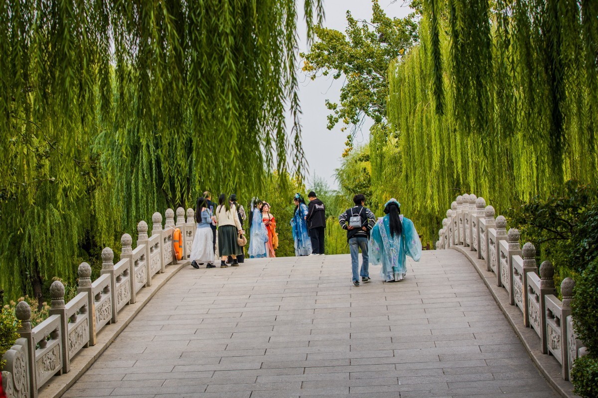 外出随拍（续396）.