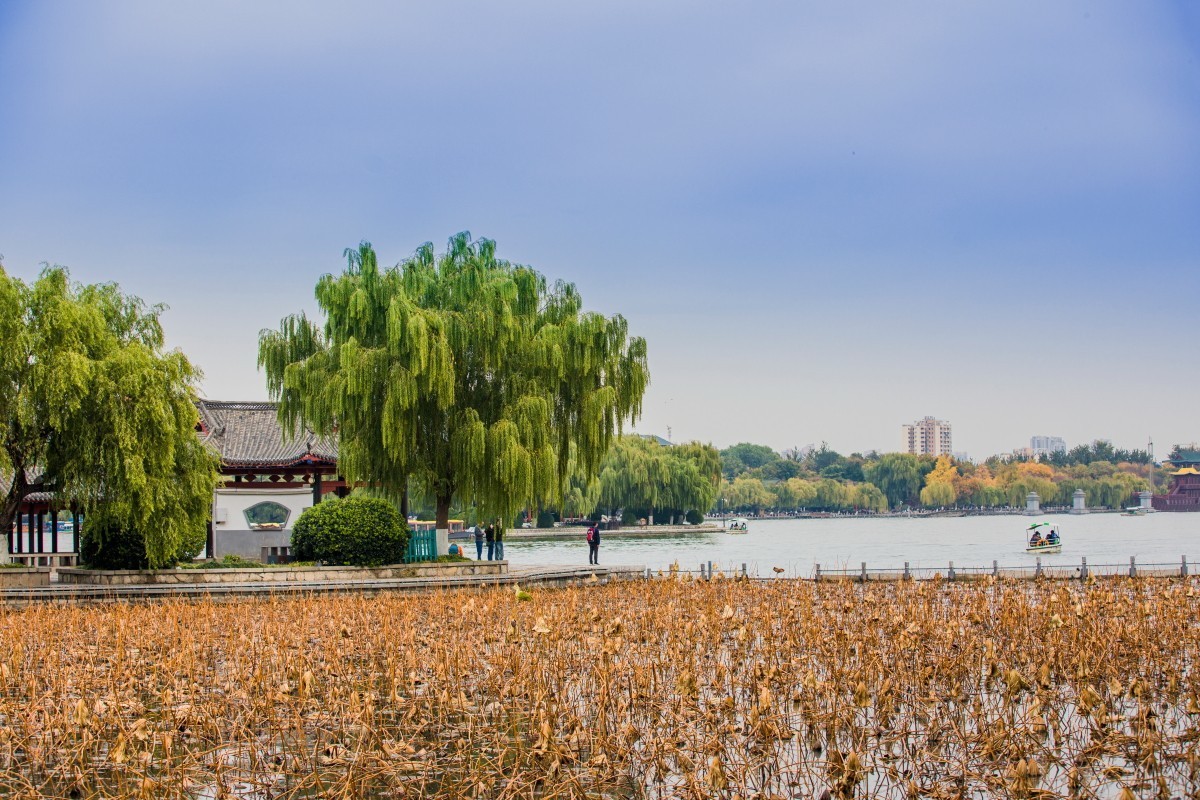 外出随拍（续396）.