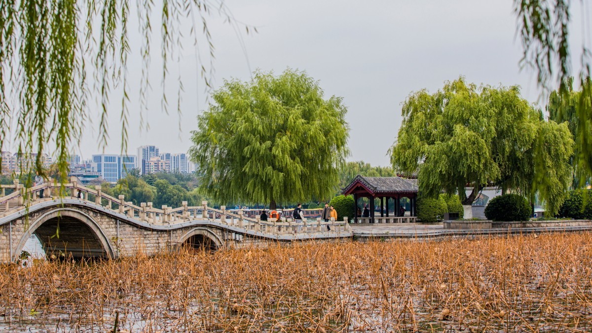 外出随拍（续396）.