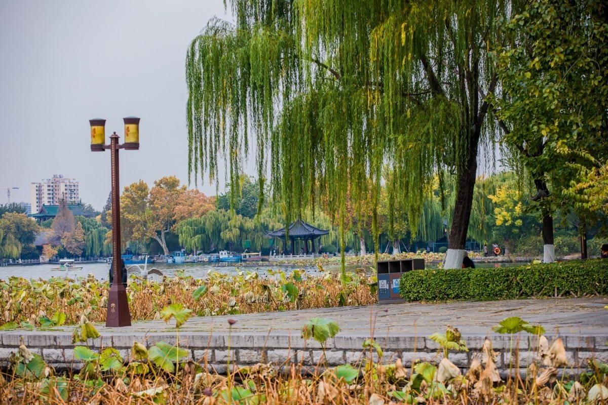 外出随拍（续396）.