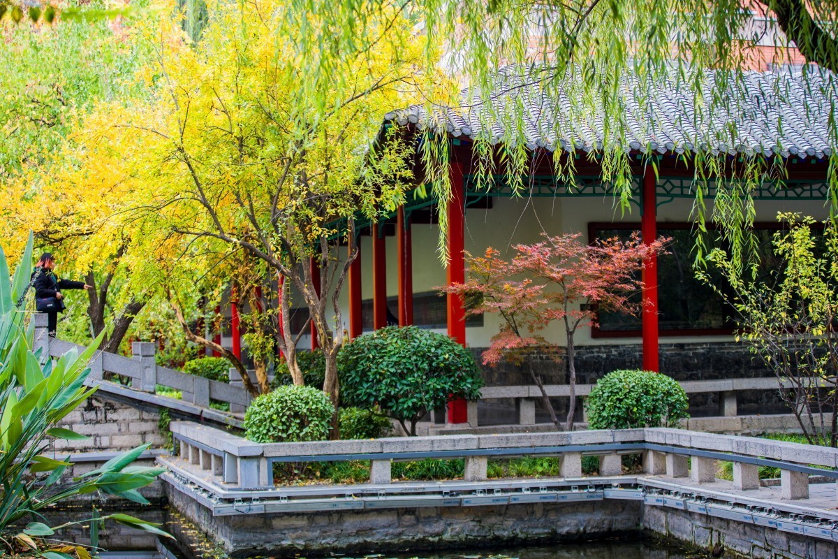 外出随拍（续396）.