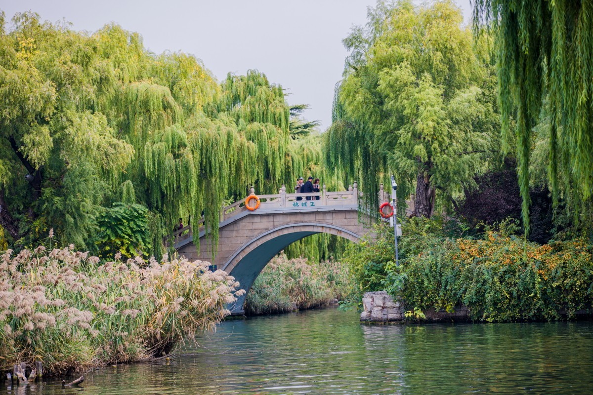 外出随拍（续396）.