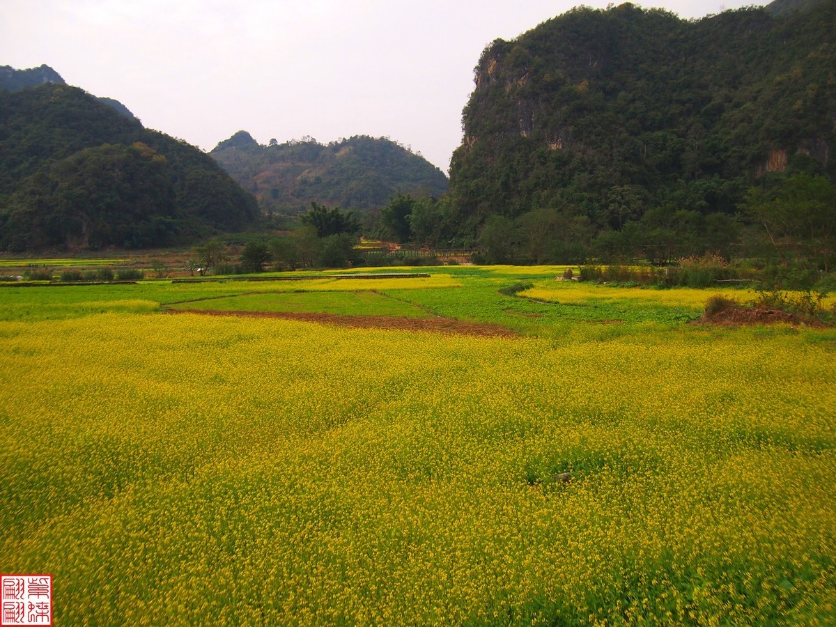 2023.12.22坝美随拍（11）