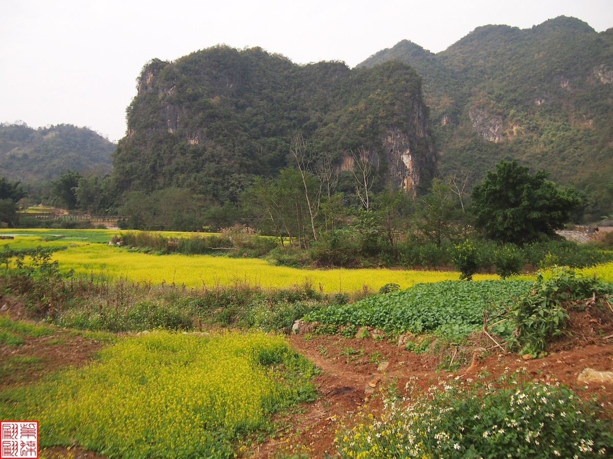 2023.12.22坝美随拍（11）