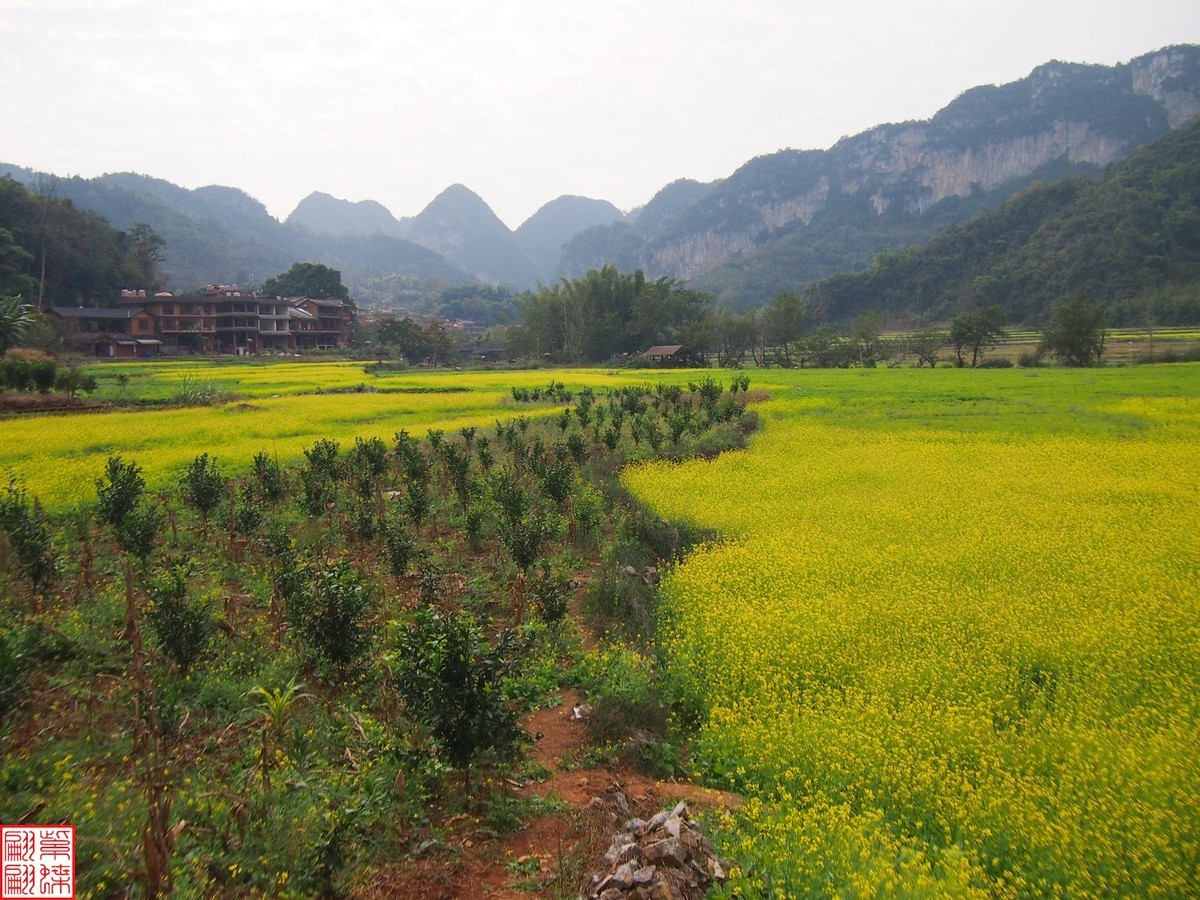 2023.12.22坝美随拍（11）