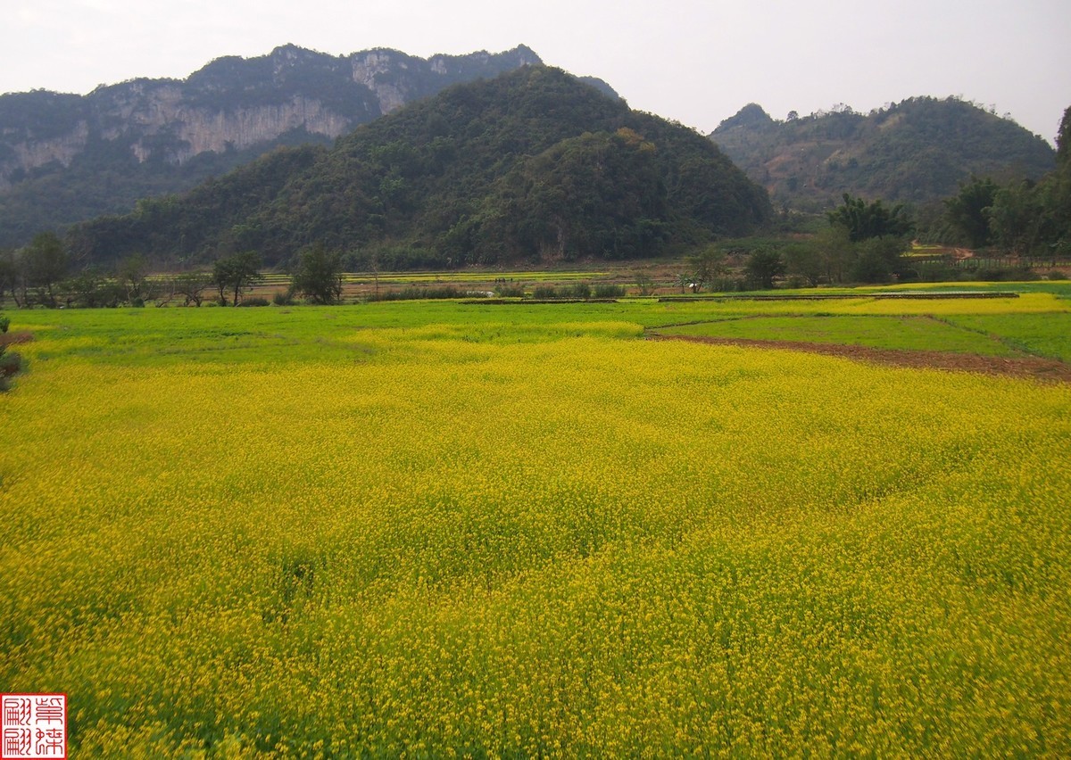 2023.12.22坝美随拍（11）