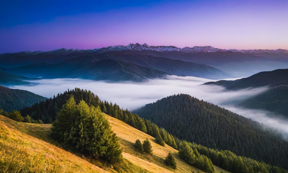 日出的宁静诗篇