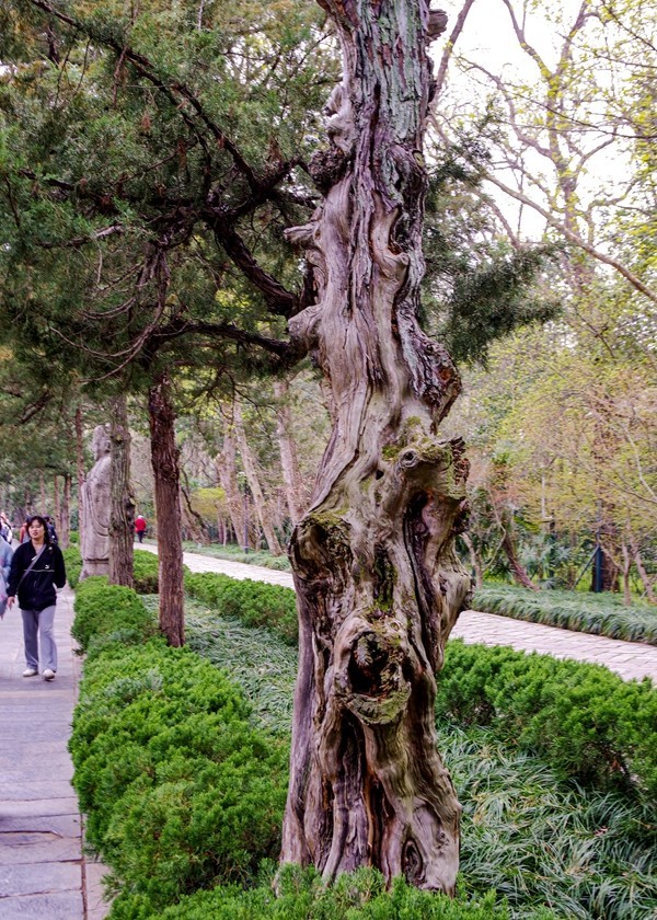 南京--参观明孝陵【5】