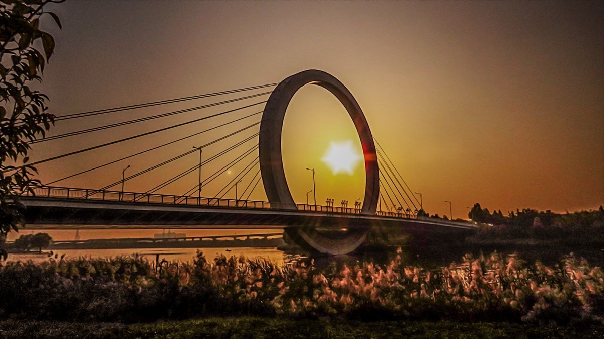 蝶湖戒指桥随拍