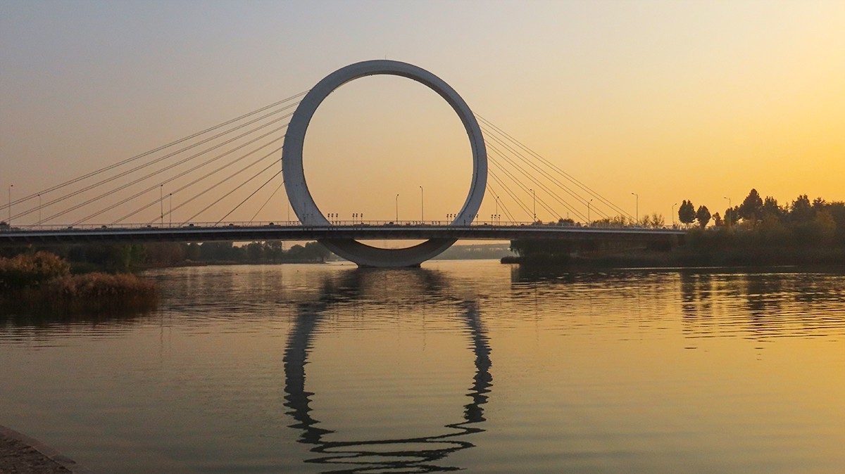 蝶湖戒指桥随拍