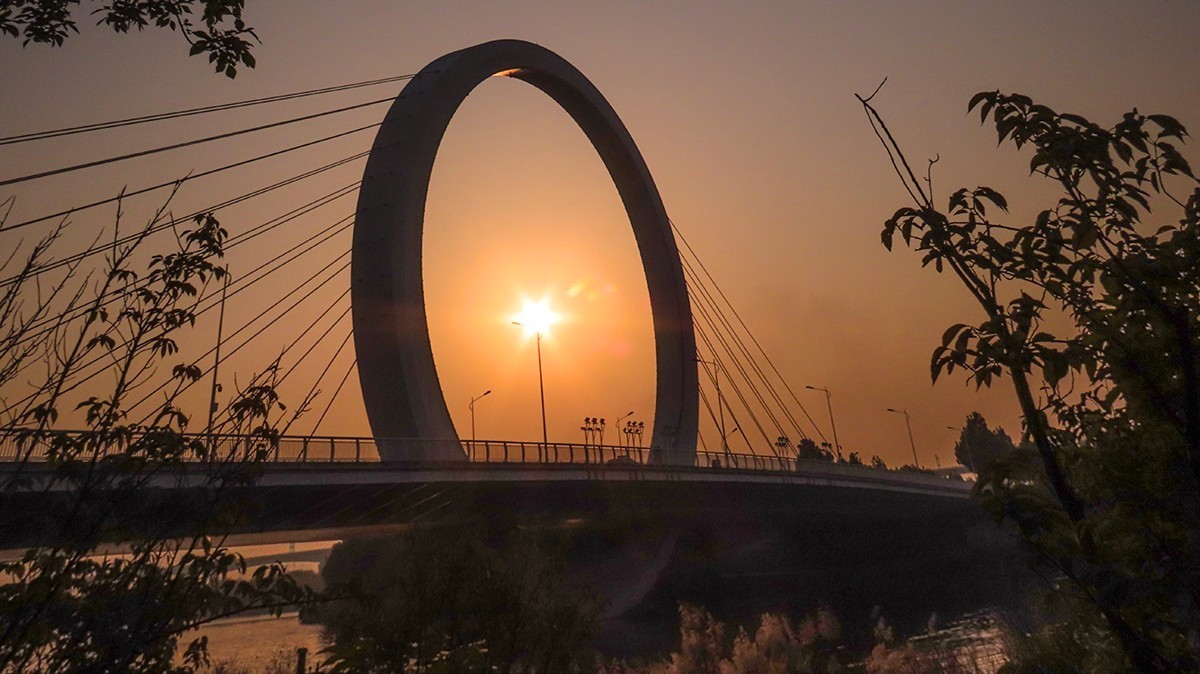 蝶湖戒指桥随拍